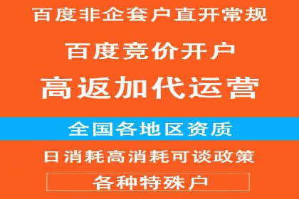 SEM公司成功案例分享：搜索引擎优化的力量
